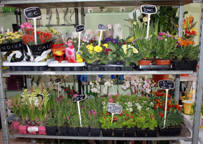 FLEURISTE - Spécialités florales - Nettoyage de tombe