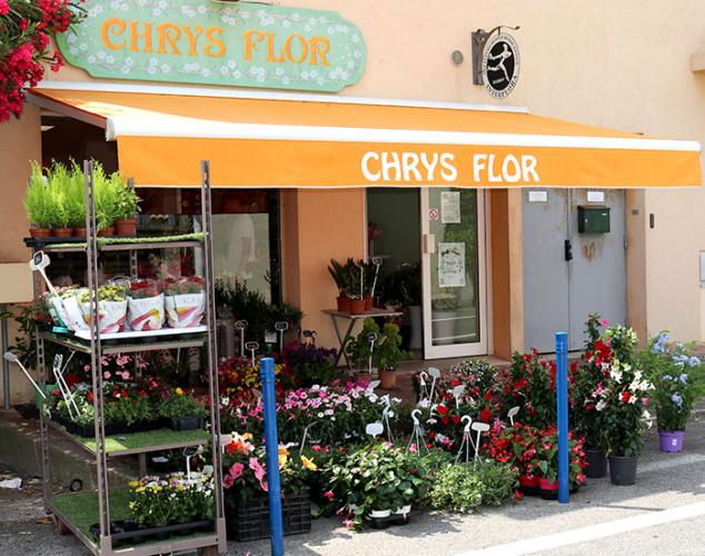 Fleuriste, Specialités florales, Cavalaire-sur-mer