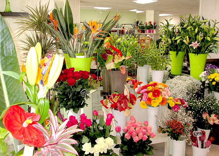 Nos spécialités de bouquets est de fleurs. Dans nos bouquets, une diversité de fleurs