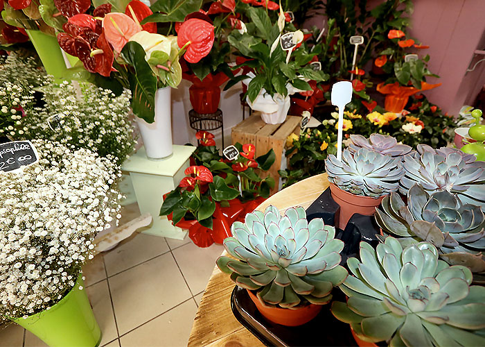 Nos spécialités de bouquets est de fleurs. Dans nos bouquets, une diversité de fleurs