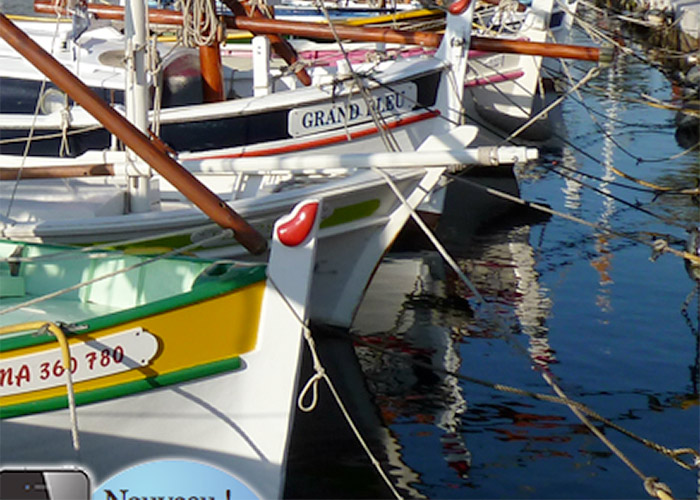 Cavalaire - La Croix Valmer - Cogolin - Auriol 